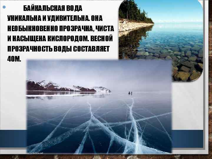  • БАЙКАЛЬСКАЯ ВОДА УНИКАЛЬНА И УДИВИТЕЛЬНА. ОНА НЕОБЫКНОВЕННО ПРОЗРАЧНА, ЧИСТА И НАСЫЩЕНА КИСЛОРОДОМ.