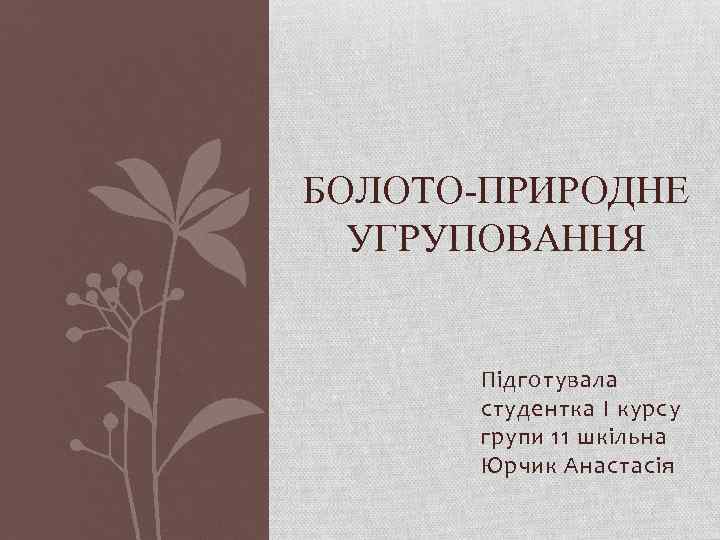 БОЛОТО-ПРИРОДНЕ УГРУПОВАННЯ Підготувала студентка І курсу групи 11 шкільна Юрчик Анастасія 