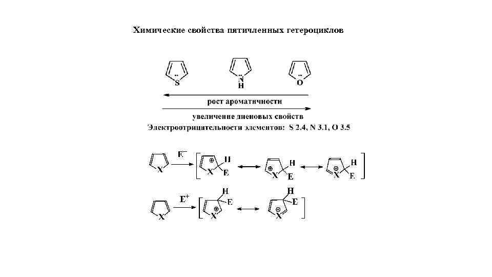 Химические свойства пятичленных гетероциклов 