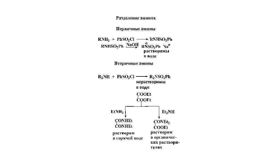 Разделение аминов Первичные амины Вторичные амины нерастворимы в воде 