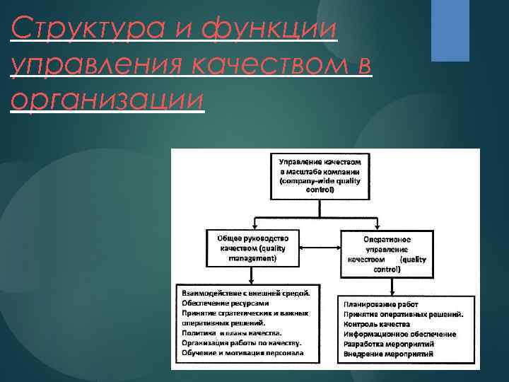 Структура и функции управления качеством в организации 