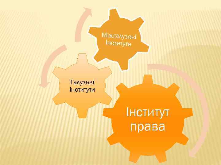 Міжгалузеві інститути Галузеві інститути Інститут права 
