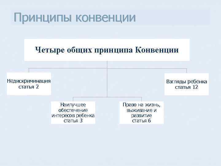 Принципы конвенции Четыре общих принципа Конвенции Недискриминация статья 2 Взгляды ребенка статья 12 Наилучшее