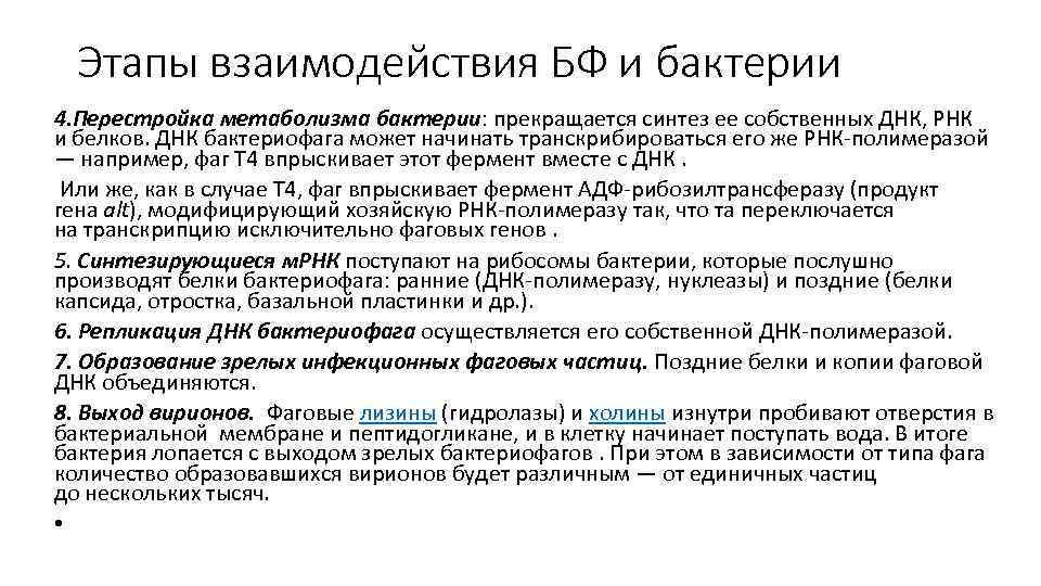 Этапы взаимодействия БФ и бактерии 4. Перестройка метаболизма бактерии: прекращается синтез ее собственных ДНК,
