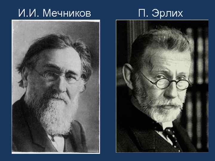 И. И. Мечников П. Эрлих 
