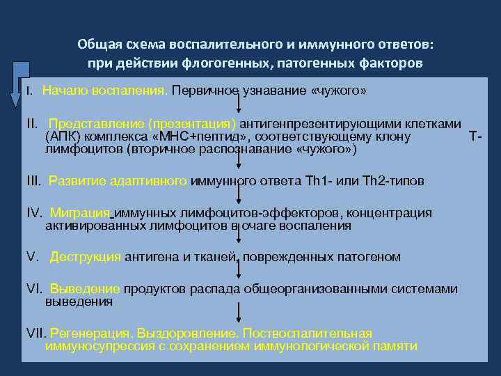 Общая схема воспалительного и иммунного ответов: при действии флогогенных, патогенных факторов I. Начало воспаления.