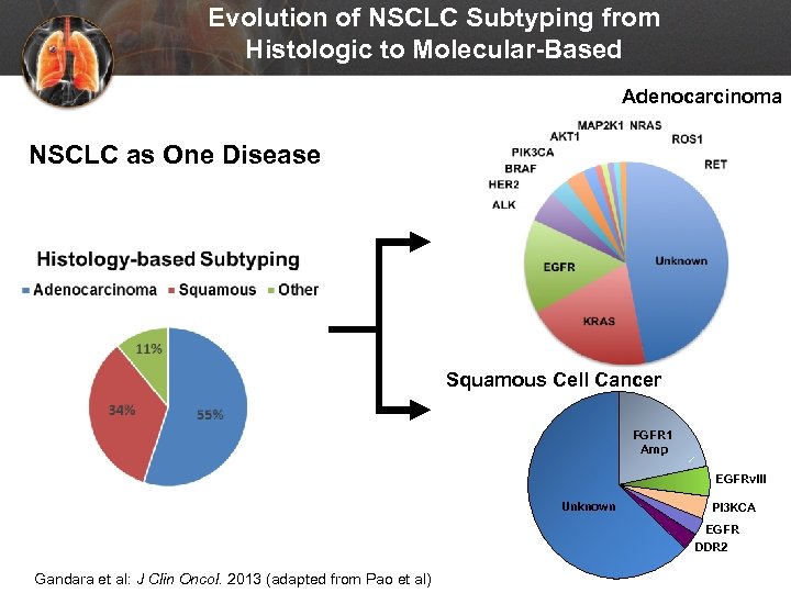 Evolution of NSCLC Subtyping from Histologic to Molecular-Based Adenocarcinoma NSCLC as One Disease Squamous