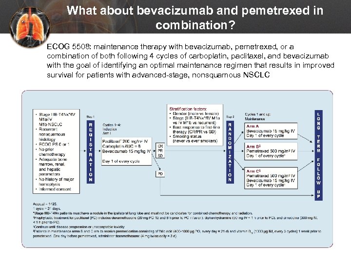 What about bevacizumab and pemetrexed in combination? ECOG 5508: maintenance therapy with bevacizumab, pemetrexed,