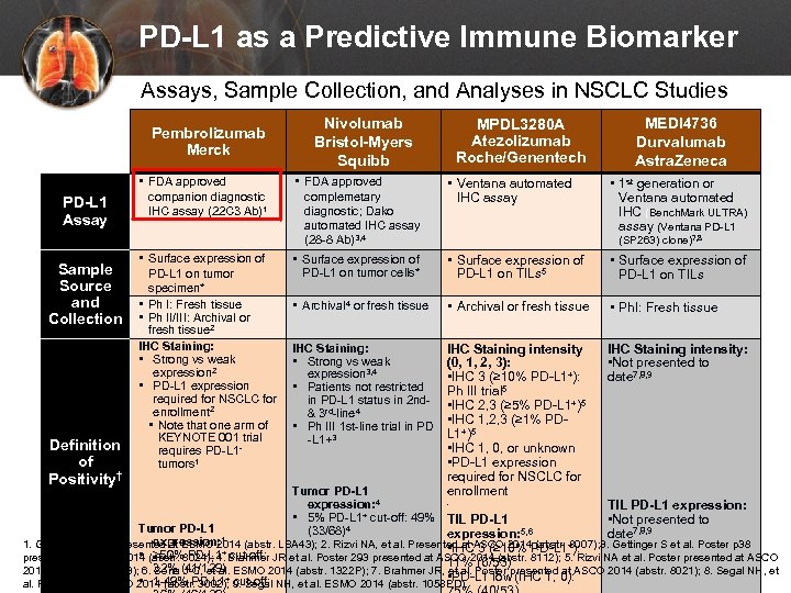 PD-L 1 as a Predictive Immune Biomarker Assays, Sample Collection, and Analyses in NSCLC