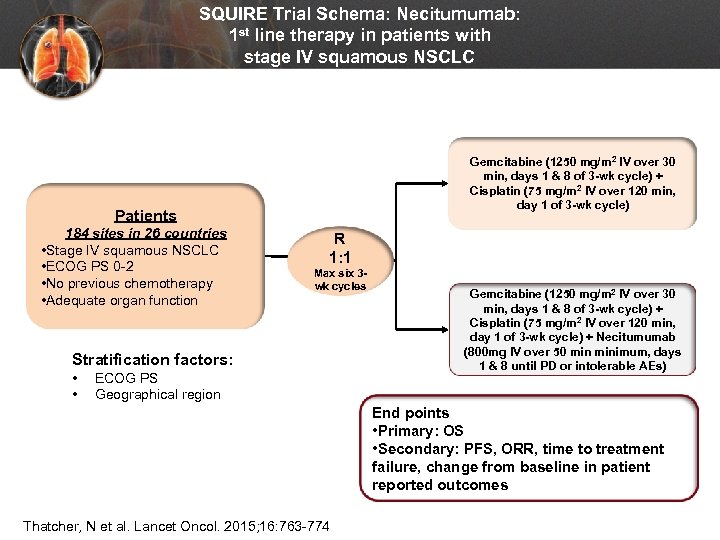 SQUIRE Trial Schema: Necitumumab: 1 st line therapy in patients with stage IV squamous