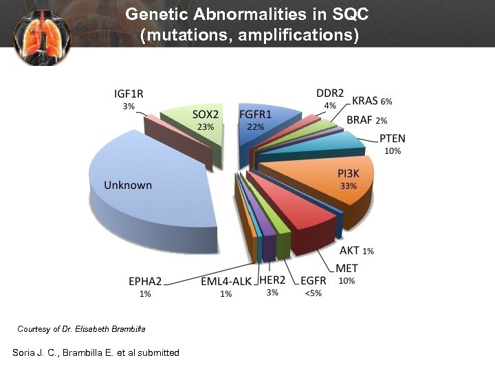 Genetic Abnormalities in SQC (mutations, amplifications) Courtesy of Dr. Elisabeth Brambilla Soria J. C.