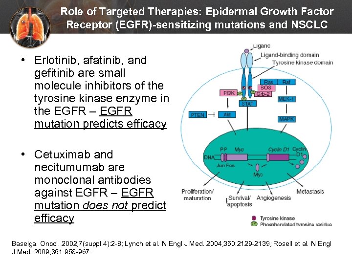 Role of Targeted Therapies: Epidermal Growth Factor Receptor (EGFR)-sensitizing mutations and NSCLC • Erlotinib,