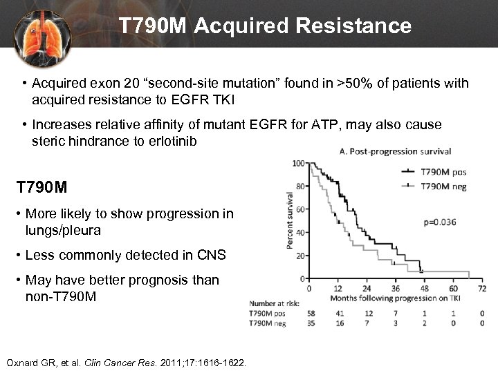 T 790 M Acquired Resistance • Acquired exon 20 “second-site mutation” found in >50%