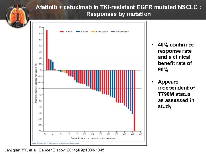 Afatinib + cetuximab in TKI-resistant EGFR mutated NSCLC : Responses by mutation • 40%