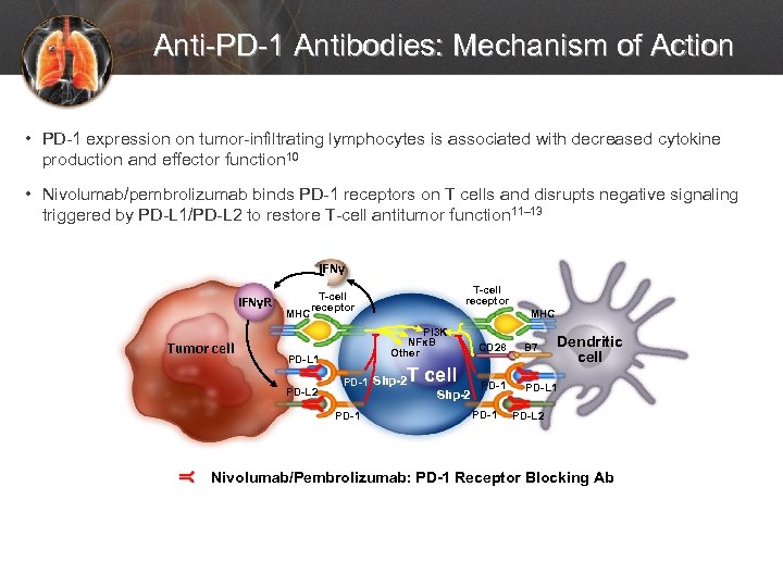 Anti-PD-1 Antibodies: Mechanism of Action • PD-1 expression on tumor-infiltrating lymphocytes is associated with