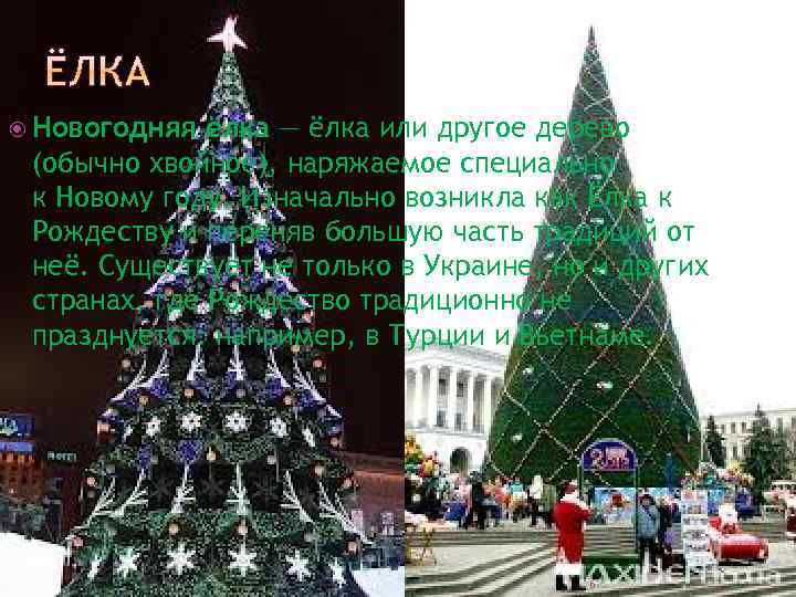  Новогодняя ёлка — ёлка или другое дерево (обычно хвойное), наряжаемое специально к Новому