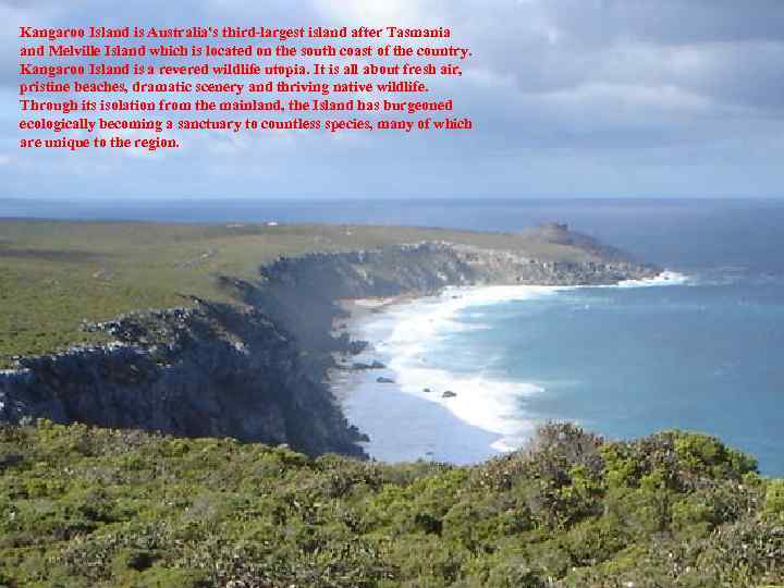 Kangaroo Island is Australia's third-largest island after Tasmania and Melville Island which is located