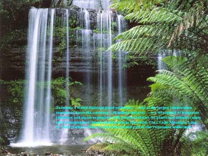 Tasmania's World Heritage-listed wilderness — one of the largest conservation reserves in Australia, covering