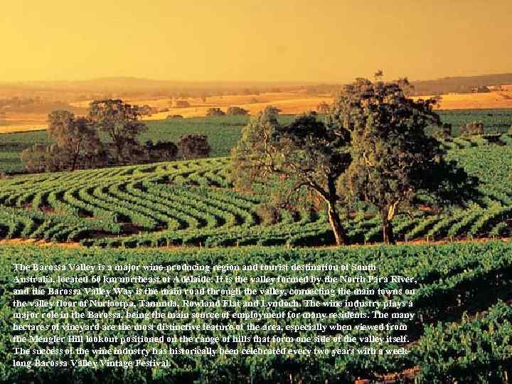 The Barossa Valley is a major wine-producing region and tourist destination of South Australia,