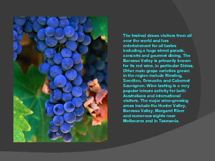 The festival draws visitors from all over the world and has entertainment for all