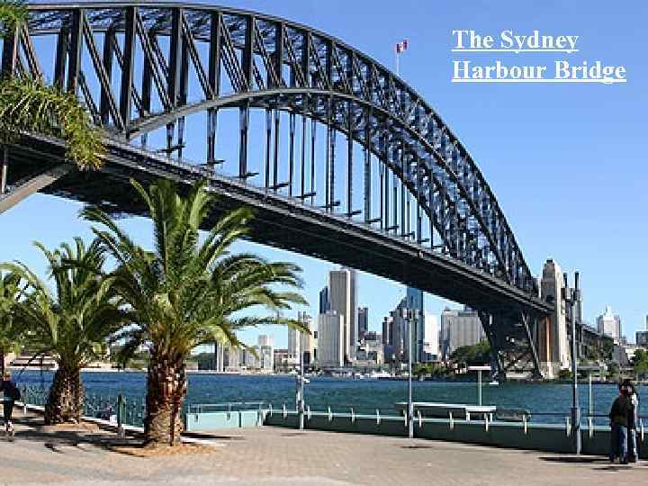 The Sydney Harbour Bridge 