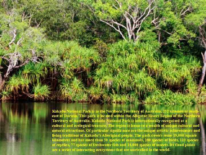 Kakadu National Park is in the Northern Territory of Australia, 252 kilometres southeast of