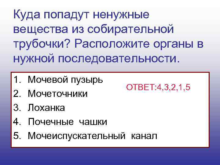 Куда попадут ненужные вещества из собирательной трубочки? Расположите органы в нужной последовательности. 1. 2.