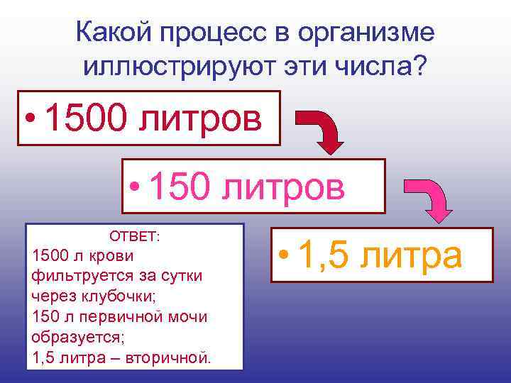 Какой процесс в организме иллюстрируют эти числа? • 1500 литров • 150 литров ОТВЕТ: