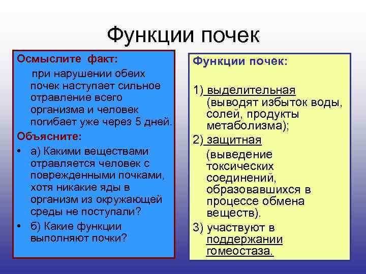 Функции почек Осмыслите факт: при нарушении обеих почек наступает сильное отравление всего организма и