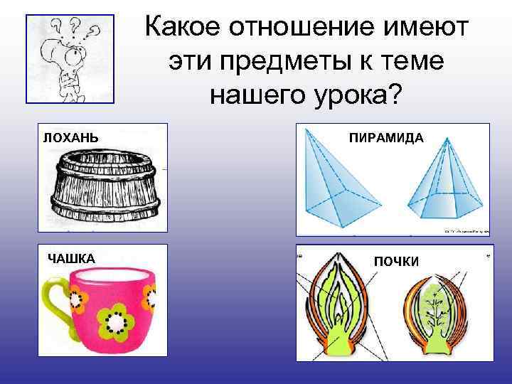 Какое отношение имеют эти предметы к теме нашего урока? ЛОХАНЬ ЧАШКА ПИРАМИДА ПОЧКИ 