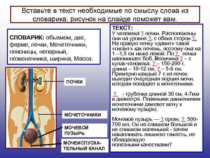 Вставьте в текст необходимые по смыслу слова из словарика, рисунок на слайде поможет вам.