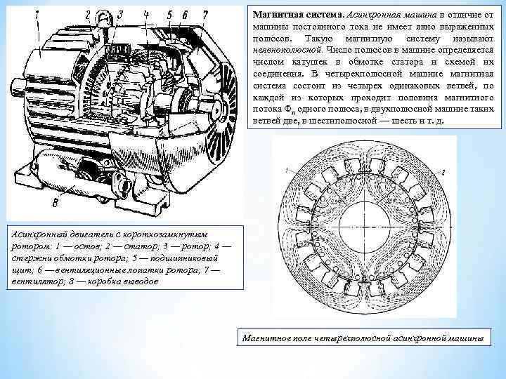 Магнитное поле машин постоянного тока. Магнитная система машины постоянного тока. Полюса асинхронного двигателя. Число полюсов асинхронного двигателя. Количество полюсов электродвигателя.