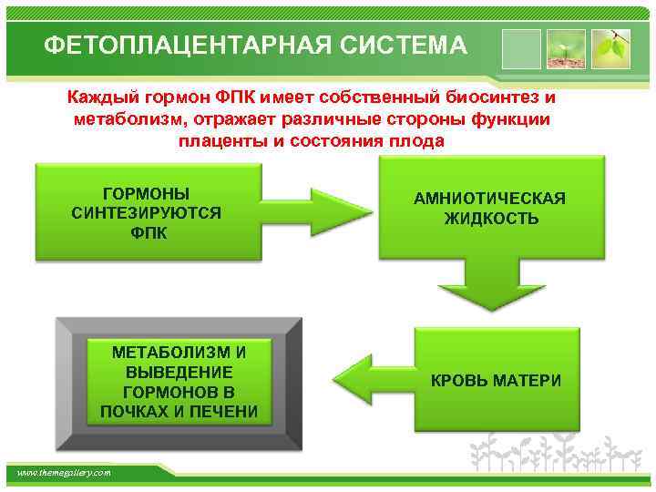 В каждой системе