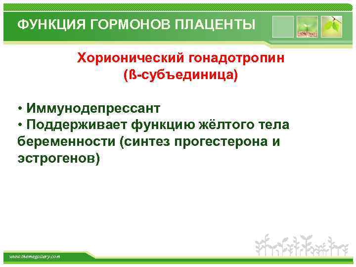 ФУНКЦИЯ ГОРМОНОВ ПЛАЦЕНТЫ Хорионический гонадотропин (ß-субъединица) • Иммунодепрессант • Поддерживает функцию жёлтого тела беременности