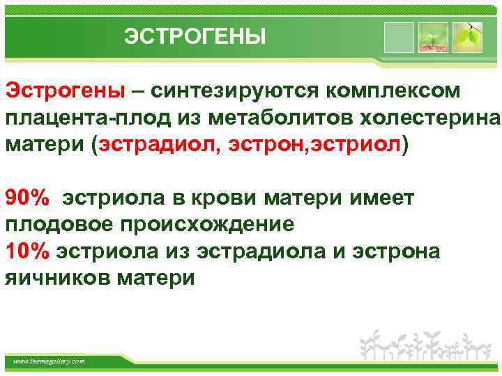 ЭСТРОГЕНЫ Эстрогены – синтезируются комплексом плацента-плод из метаболитов холестерина матери (эстрадиол, эстрон, эстриол) 90%