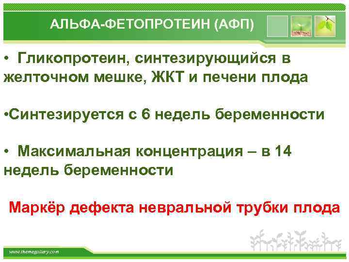 АЛЬФА-ФЕТОПРОТЕИН (АФП) • Гликопротеин, синтезирующийся в желточном мешке, ЖКТ и печени плода • Синтезируется