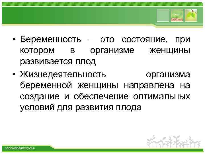  • Беременность – это состояние, при котором в организме женщины развивается плод •