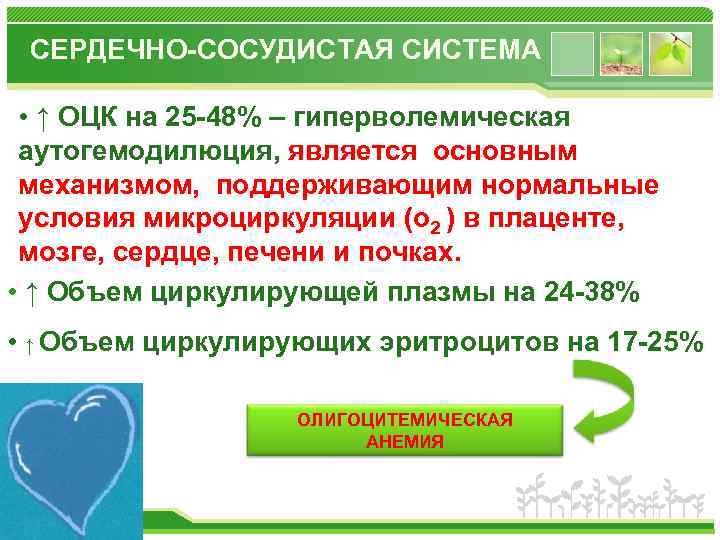 СЕРДЕЧНО-СОСУДИСТАЯ СИСТЕМА • ↑ ОЦК на 25 -48% – гиперволемическая аутогемодилюция, является основным механизмом,