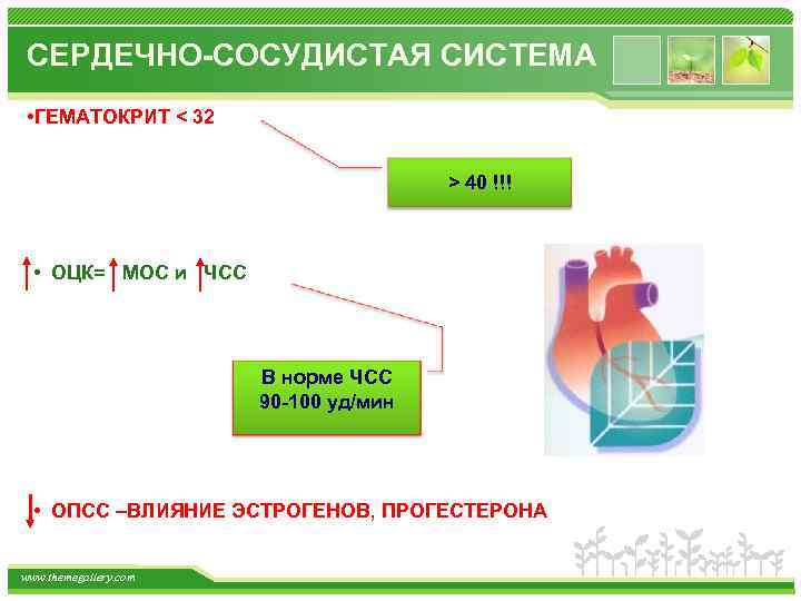 СЕРДЕЧНО-СОСУДИСТАЯ СИСТЕМА • ГЕМАТОКРИТ < 32 > 40 !!! • ОЦК= МОС и ЧСС