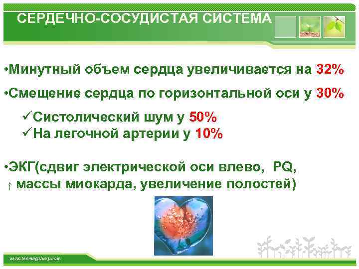 СЕРДЕЧНО-СОСУДИСТАЯ СИСТЕМА • Минутный объем сердца увеличивается на 32% • Смещение сердца по горизонтальной