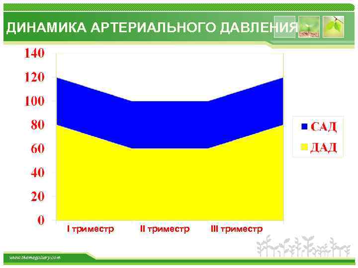 ДИНАМИКА АРТЕРИАЛЬНОГО ДАВЛЕНИЯ I триместр www. themegallery. com II триместр III триместр 