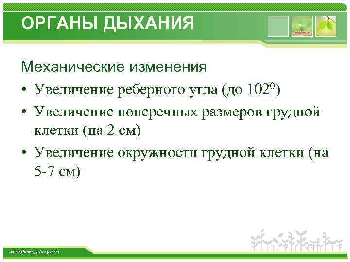 ОРГАНЫ ДЫХАНИЯ Механические изменения • Увеличение реберного угла (до 1020) • Увеличение поперечных размеров