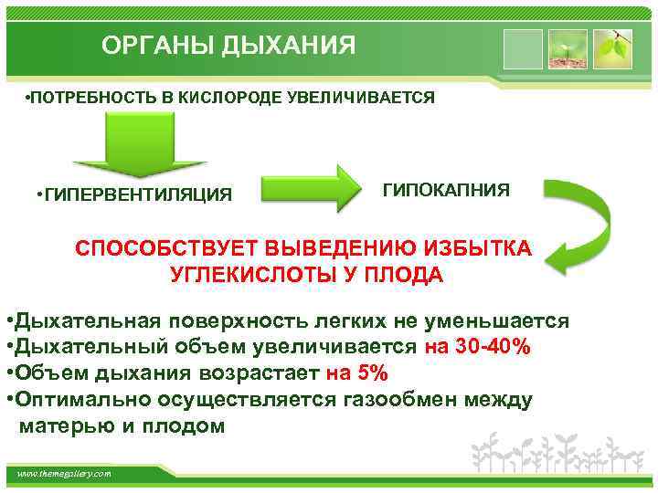 ОРГАНЫ ДЫХАНИЯ • ПОТРЕБНОСТЬ В КИСЛОРОДЕ УВЕЛИЧИВАЕТСЯ • ГИПЕРВЕНТИЛЯЦИЯ ГИПОКАПНИЯ СПОСОБСТВУЕТ ВЫВЕДЕНИЮ ИЗБЫТКА УГЛЕКИСЛОТЫ