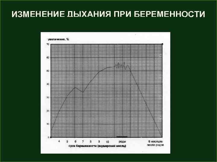 ИЗМЕНЕНИЕ ДЫХАНИЯ ПРИ БЕРЕМЕННОСТИ www. themegallery. com 