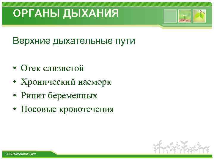 ОРГАНЫ ДЫХАНИЯ Верхние дыхательные пути • • Отек слизистой Хронический насморк Ринит беременных Носовые