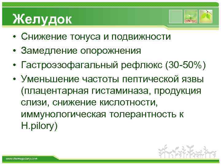 Желудок • • Снижение тонуса и подвижности Замедление опорожнения Гастроэзофагальный рефлюкс (30 -50%) Уменьшение