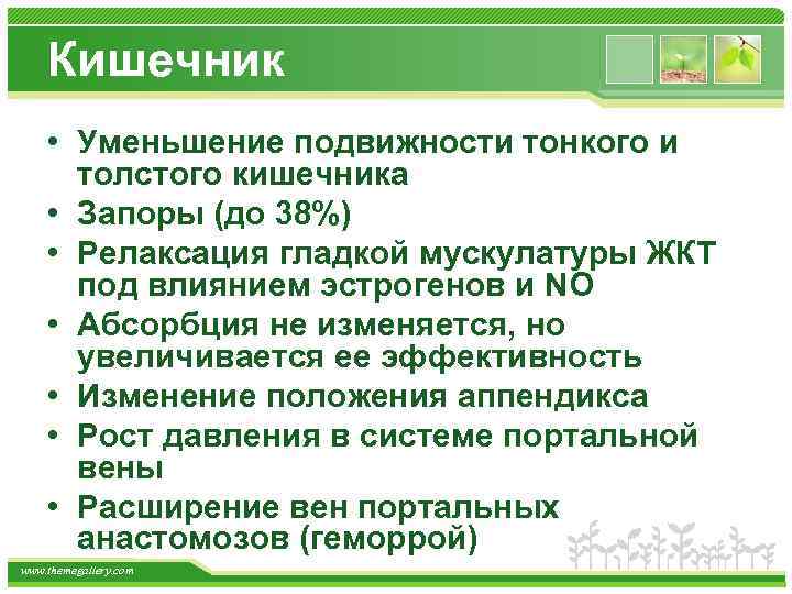 Кишечник • Уменьшение подвижности тонкого и толстого кишечника • Запоры (до 38%) • Релаксация