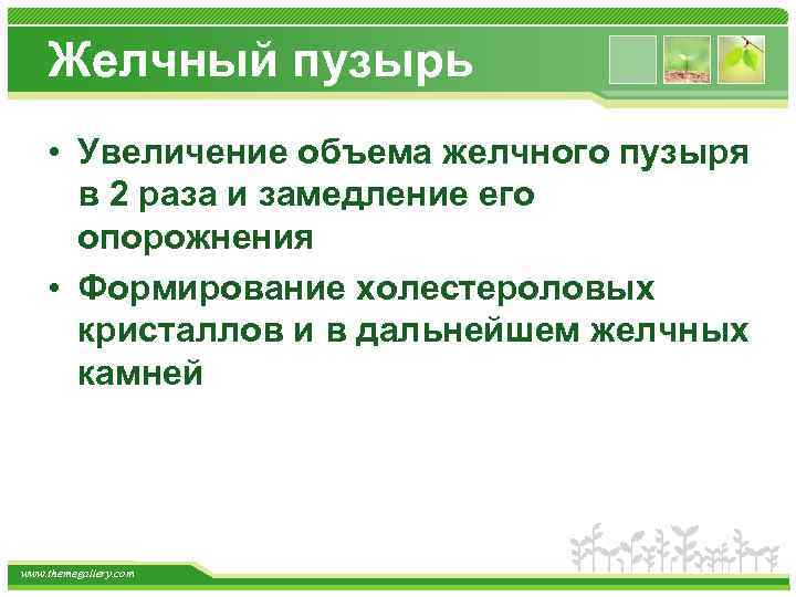 Желчный пузырь • Увеличение объема желчного пузыря в 2 раза и замедление его опорожнения