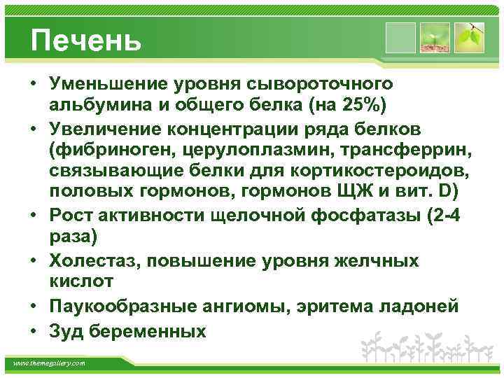 Печень • Уменьшение уровня сывороточного альбумина и общего белка (на 25%) • Увеличение концентрации