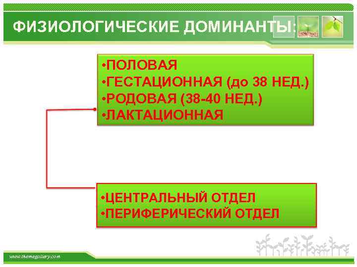 ФИЗИОЛОГИЧЕСКИЕ ДОМИНАНТЫ: • ПОЛОВАЯ • ГЕСТАЦИОННАЯ (до 38 НЕД. ) • РОДОВАЯ (38 -40